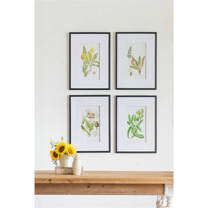 Set of 4 Botanical Flower Wall Art - White/Blue