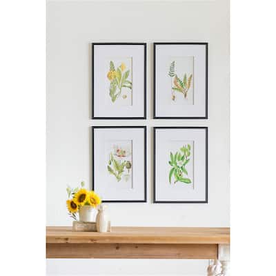 Set of 4 Botanical Flower Wall Art