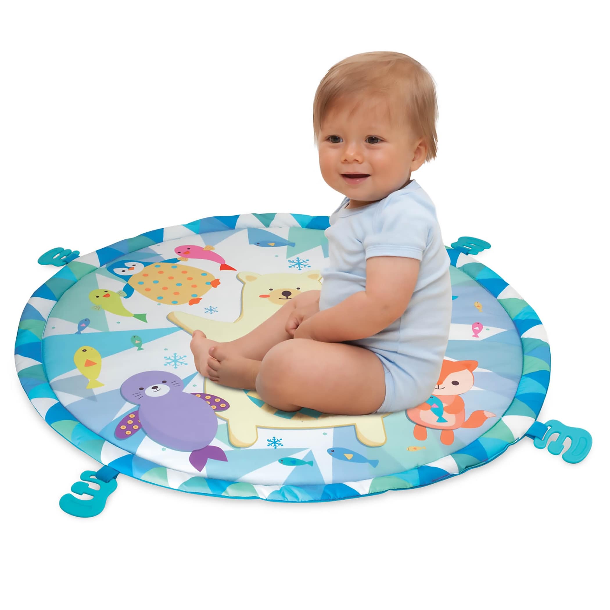 winfun polar fiesta gym