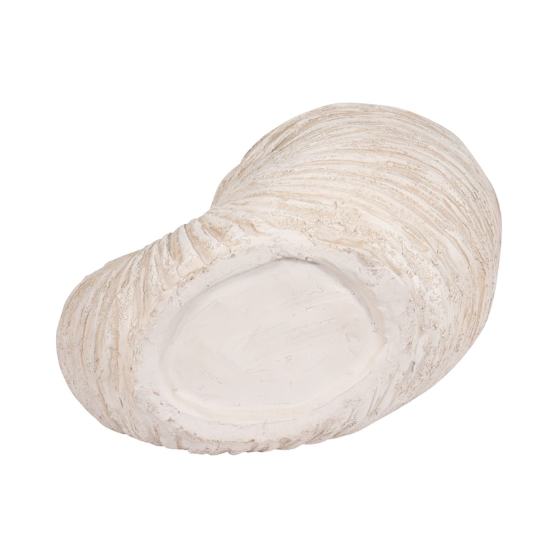 Sagebrook Home Coastal Neutral 18" Ivory Shell Sculpture - 18" x 11" x 13"