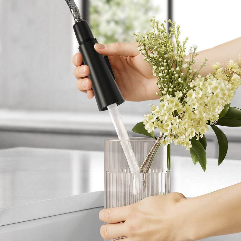 Single Handle Pull Down Kitchen Faucet with Sprayer Brass Swivels 360° Kitchen Faucet