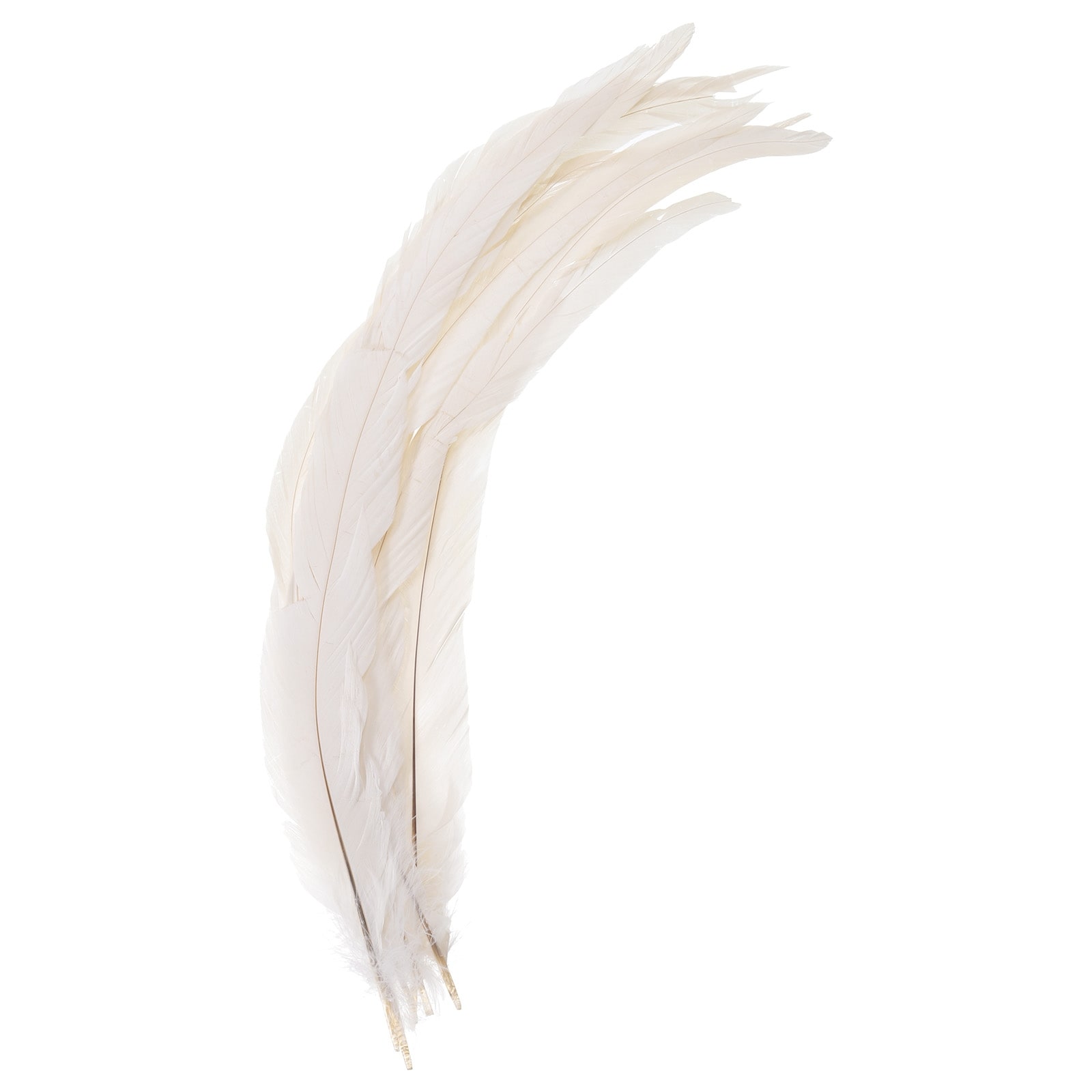 100 DEFECTIVE Blue Rooster Feathers, Cheap Bulk Grade B Feathers