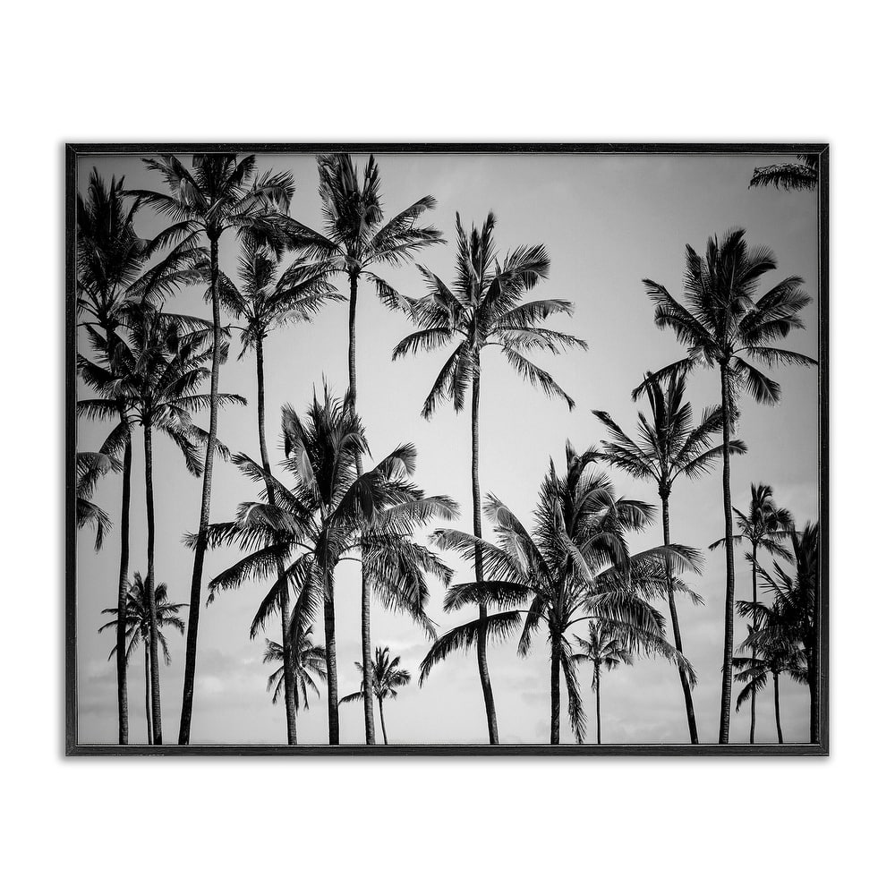 Stupell Palm Trees Skyline Black and White Photography Framed Giclee Texturized Art by Design Fabrikken