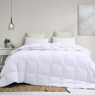 Queen Ultra Soft Lightweight Comforter 100% Cotton White - Bed Bath ...