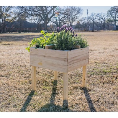 Zylina Riased Garden Planter w/ 4 Way Divider - 19 x 19 x 20