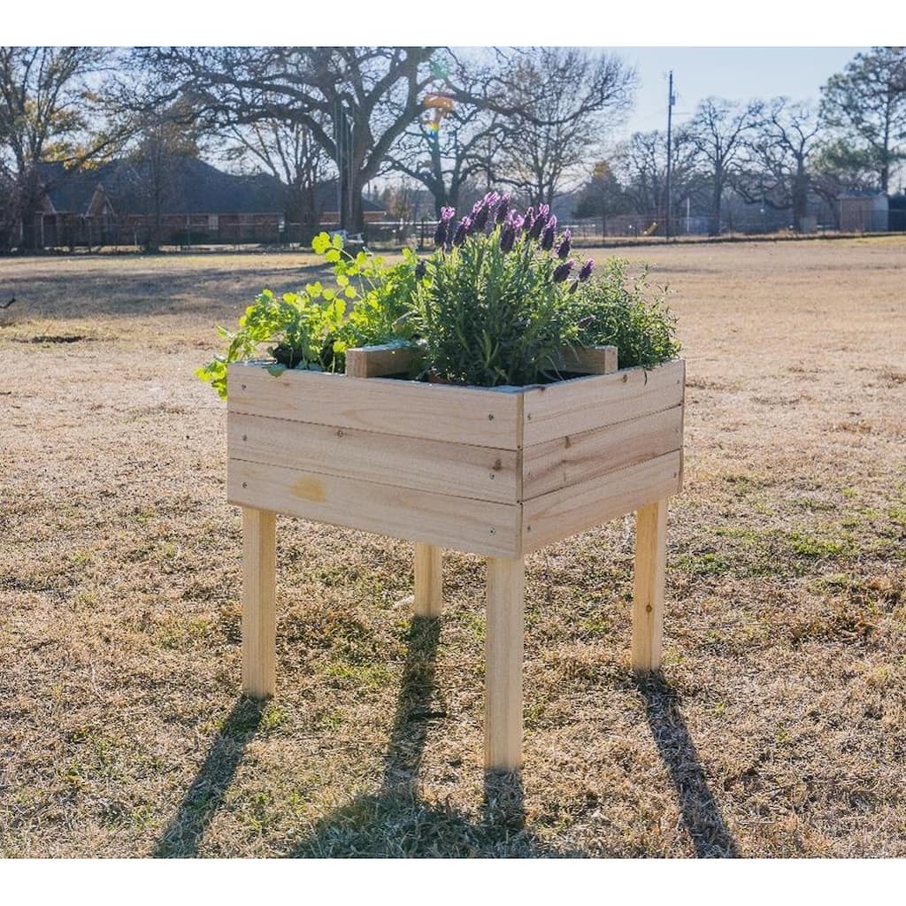 Zylina Riased Garden Planter w/ 4 Way Divider - 19 x 19 x 20