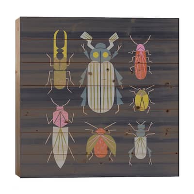 Beetle Specimens Print On Wood by Renea L. Thull - Multi-Color