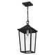 preview thumbnail 3 of 4, Mottled Black One Light Outdoor Hanging Lantern from the Stoneleigh Collection