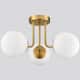 Option Brass