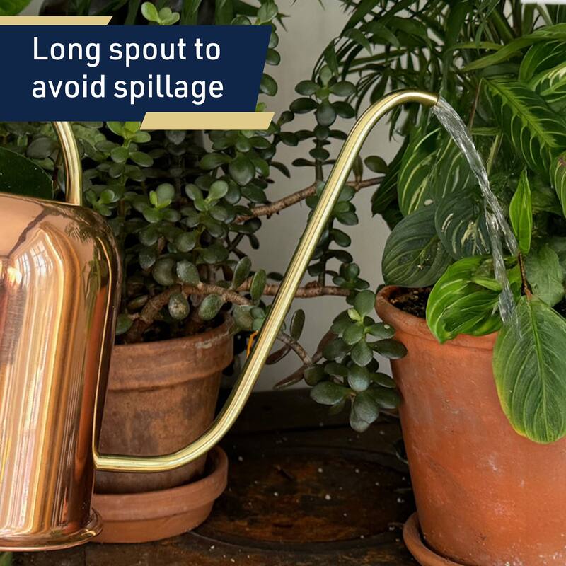 48oz Long Spout Copper Watering Can for Indoor Plants