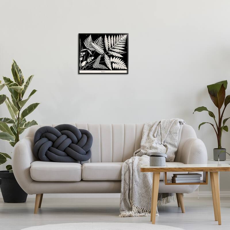 Stupell Overlapping Ferns on Black Framed Giclee Art Design By Phillipa Katz