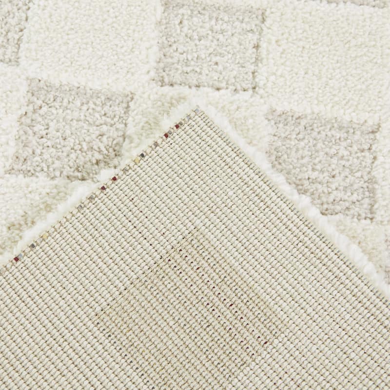 Coveney Checkered Area Rug
