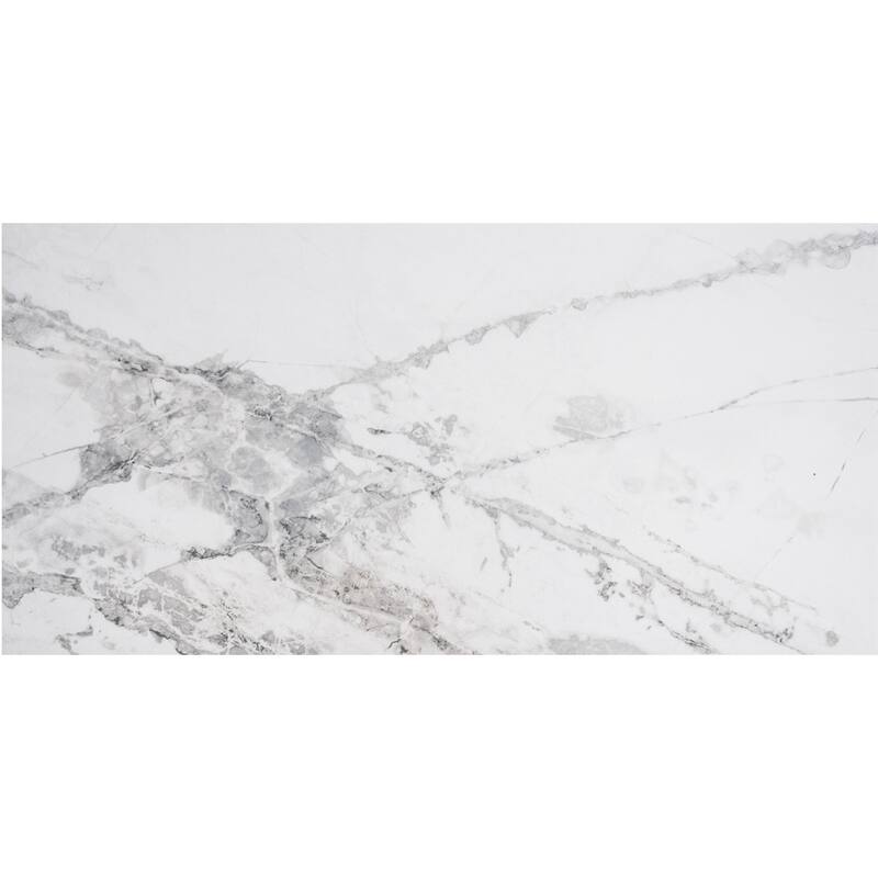 The Tile Life Penthouse 12x24 Porcelain Floor & Wall Tile
