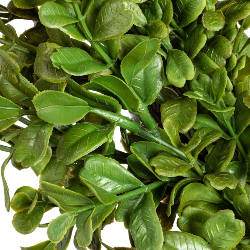 Faux Boxwood Wreath, 13 Inch Diameter