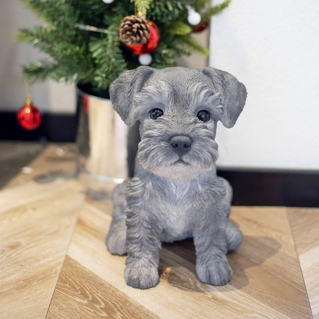 SoReal Grey Baby Schnauzer