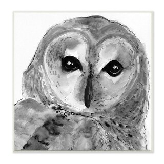 Stupell Close Up Barn Owl Bird Gazing Ink Watercolor Wood Wall Art ...