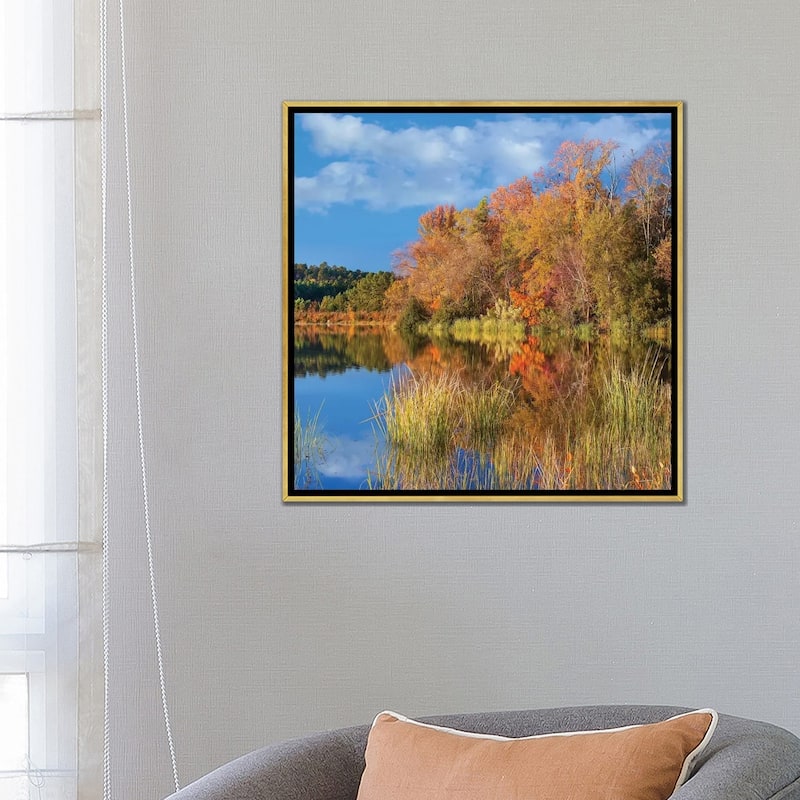 iCanvas "Autumn Along Lake, Tyler State Park, Texas" by Tim Fitzharris Framed Canvas Print