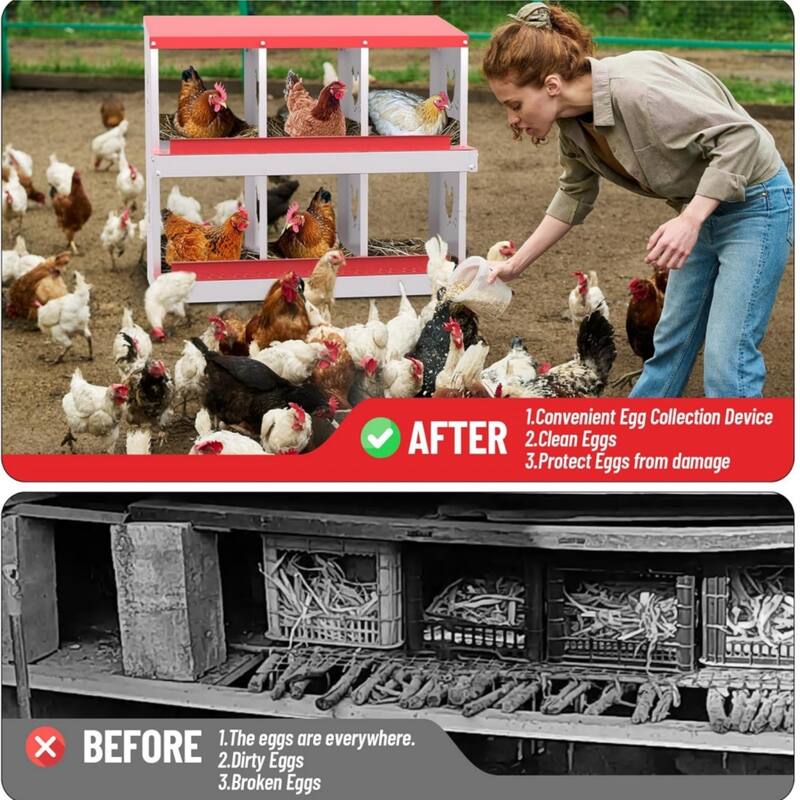 Chicken Nesting Box Nesting Boxes