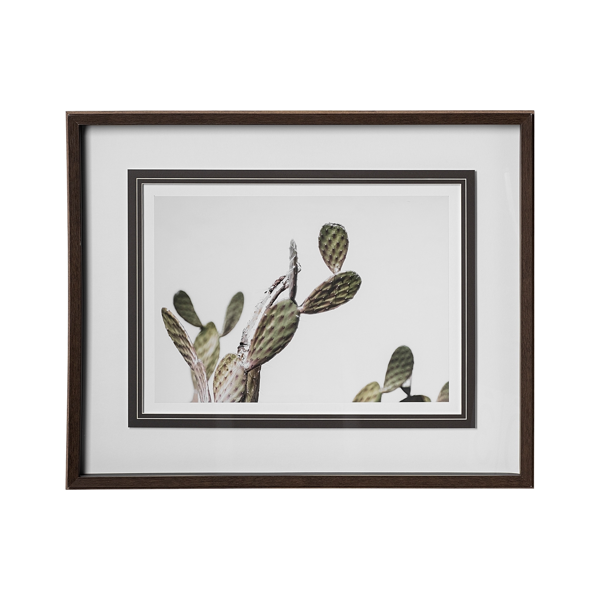 Mercana AZ Botanical 37 by Dunker a Framed Art Print Matted under Glass
