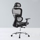 preview thumbnail 23 of 40, Ergonomic Mesh Executive Chair Home Office Chair with Lumbar Support, Headrest