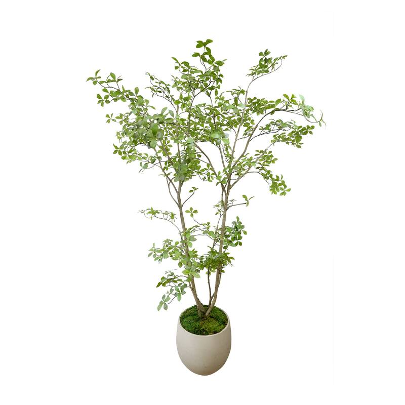 Bonsai Tree in Fiberstone Planter - 87