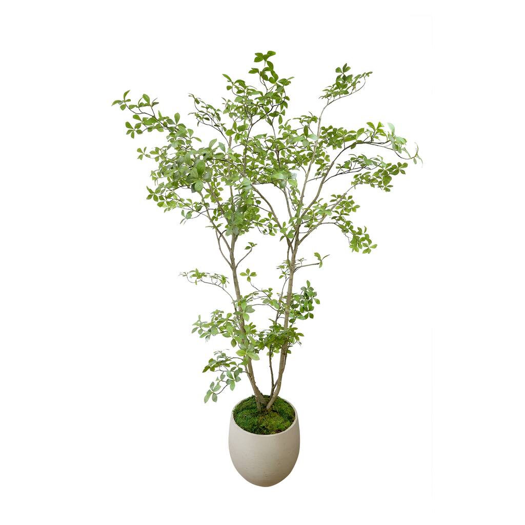 Bonsai Tree in Fiberstone Planter - 87