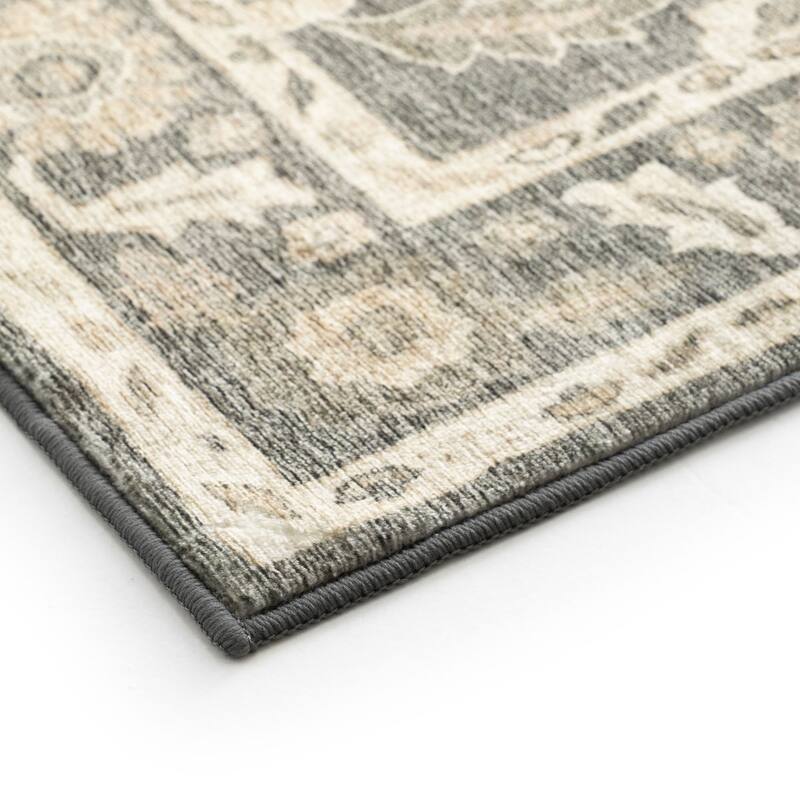 Smart Wash Ambient Glam Oriental Indoor Polyester Area Rug