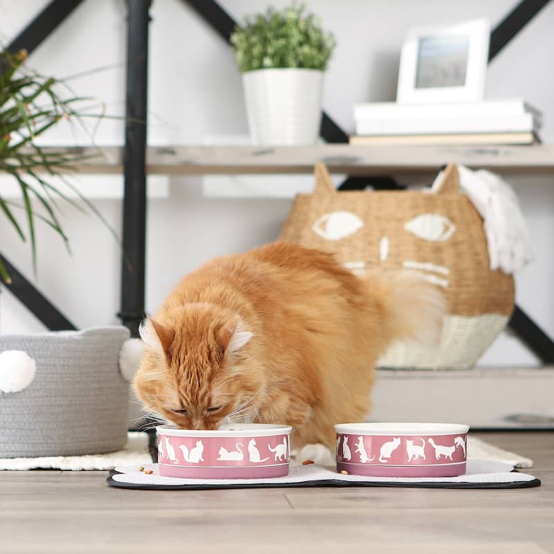 Bone Dry Pet Bowl Cats Meow (Set of 2)