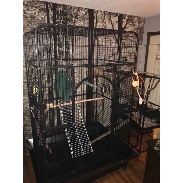 prevue empire cage