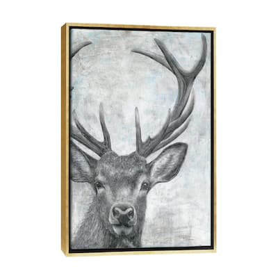 iCanvas "Portrait of a Deer" by Marie Elaine Cusson Framed Canvas Print