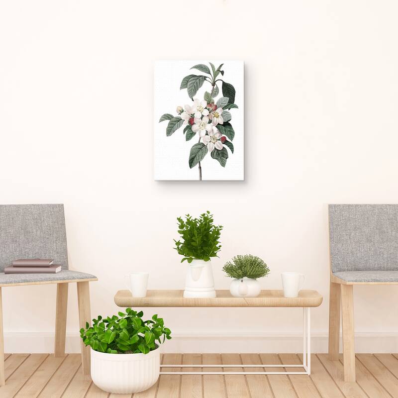 Apple Blossoms Crop Lite Canvas Art Print
