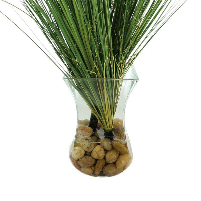 Organic Modern Onion Grass Bush in a glass vase with acrylic water and rocks - Green