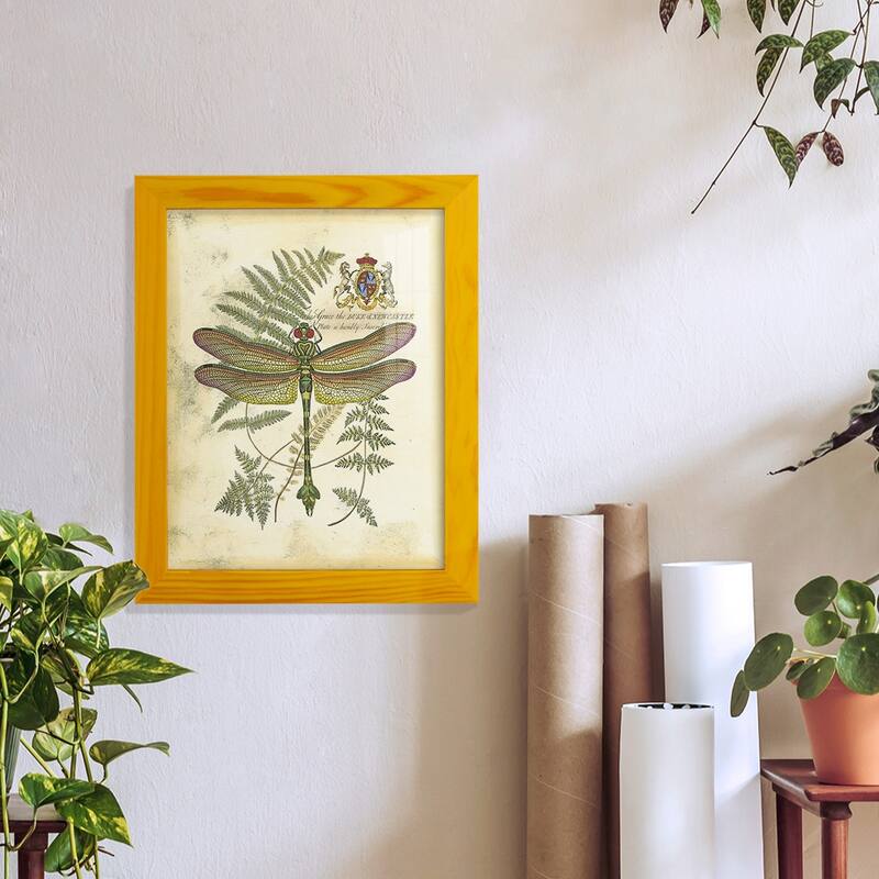 Regal Dragonfly III (PP) -Framed Print w/glass-Cherry Red