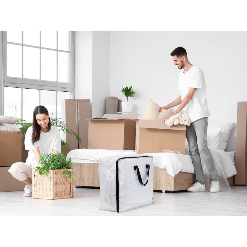 1 Pack Clothes Storage Bags with Handles, Moving Bags for Organizing Clothing, Comforters, Closet Organizers 23.5*19.5*10in