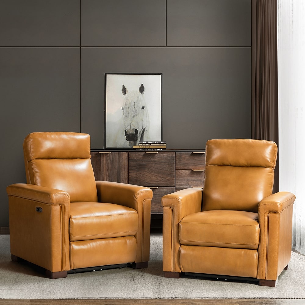 Alicia 34.65" Wide Contemporary Classic Genuine Leather Power Recliner With USB Port (Set of 2)