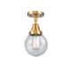 Option Satin Gold / Seedy