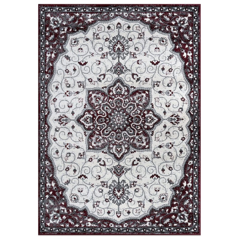 Traditional Medallion Area Rug