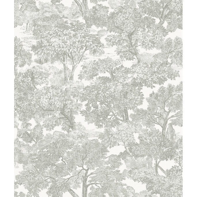 Chesapeake Spinney Grey Toile Wallpaper - 20.5in x 396in x 0.025in