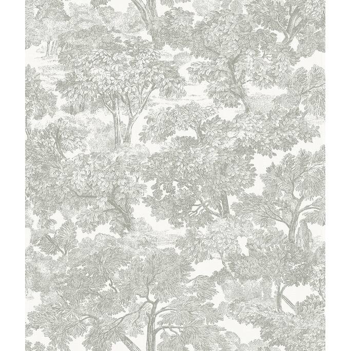 Chesapeake Spinney Grey Toile Wallpaper - 20.5in x 396in x 0.025in