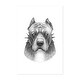 Pitbull Illustrations Animals Bull Dog Pit Bull Art Print/Poster - Bed ...