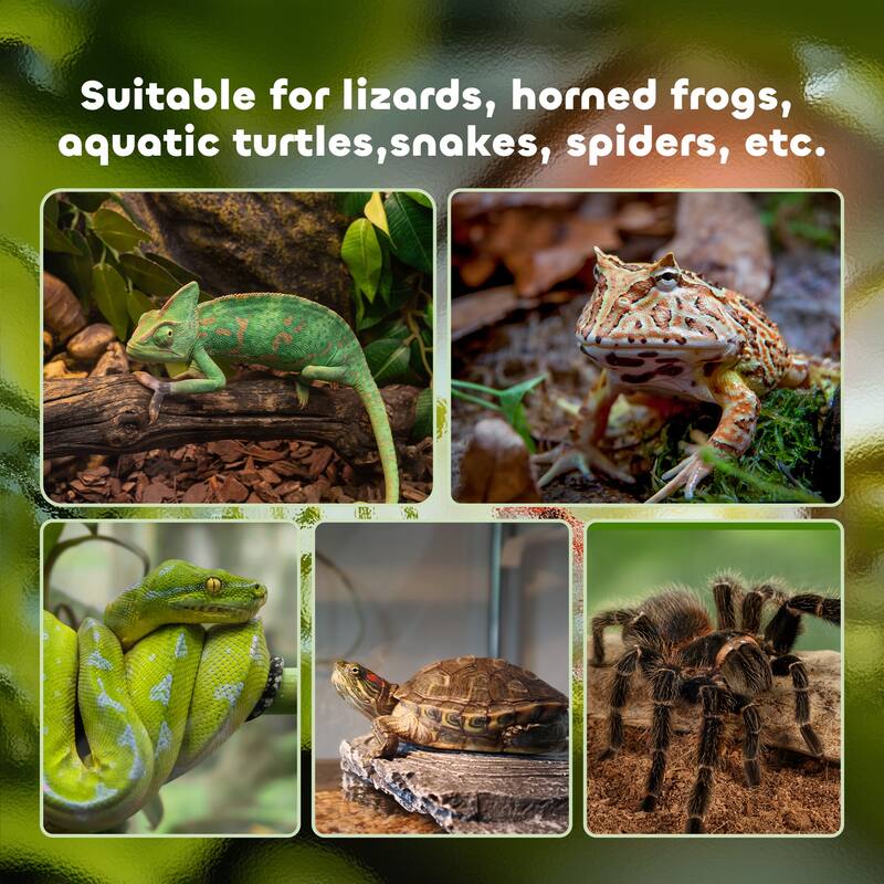 PawHut 14 Gallon Glass Reptile Enclosure with Decor Kit, Crested Gecko Tank, Full View Terrarium Tank