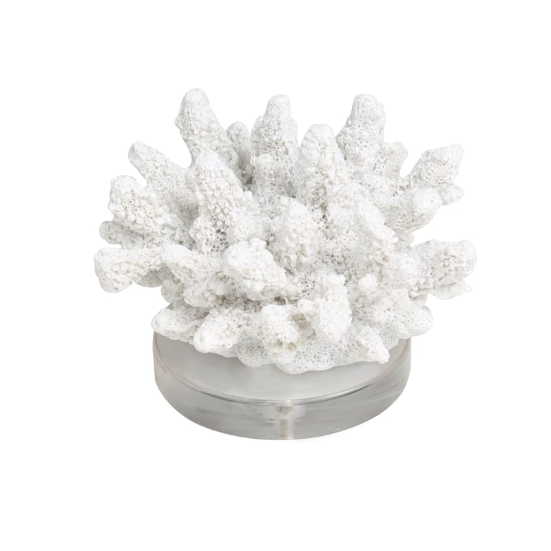 White Polystone Small Textured Coral Decorative Sculpture with Clear Acrylic Base