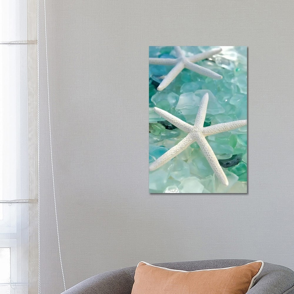 iCanvas "Seaglass 1" by Alan Blaustein Canvas Print