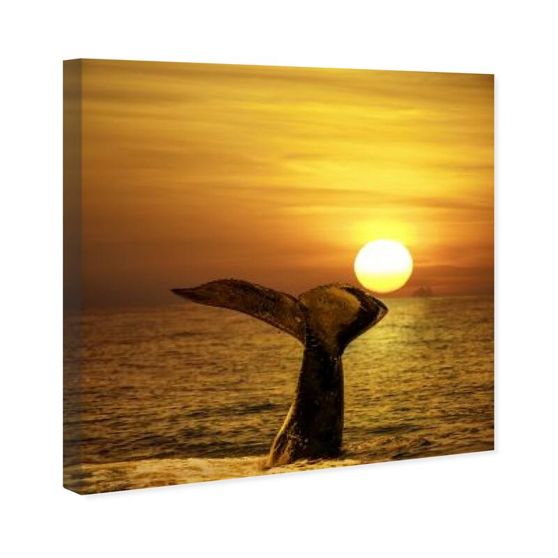 Wynwood Studio Canvas Animals David Fleetham - Humpback Whale III Orange and Nautical & Coastal Wall Art Canvas Print