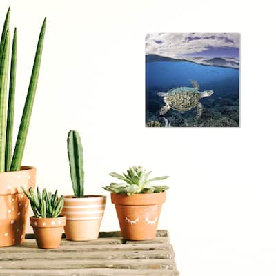 Wynwood Studio Canvas Animals David Fleetham - Hawksbill Turtle Blue and Emerald Nautical & Coastal Wall Art Canvas Print