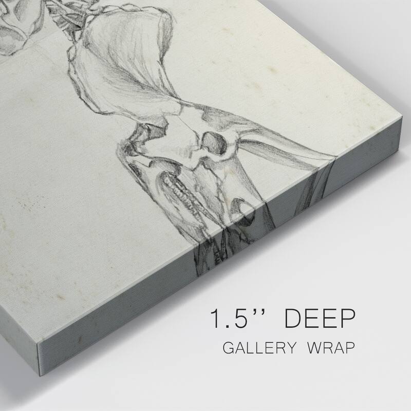 Dinosaur Study II- Premium Gallery Wrapped Canvas - Ready to Hang