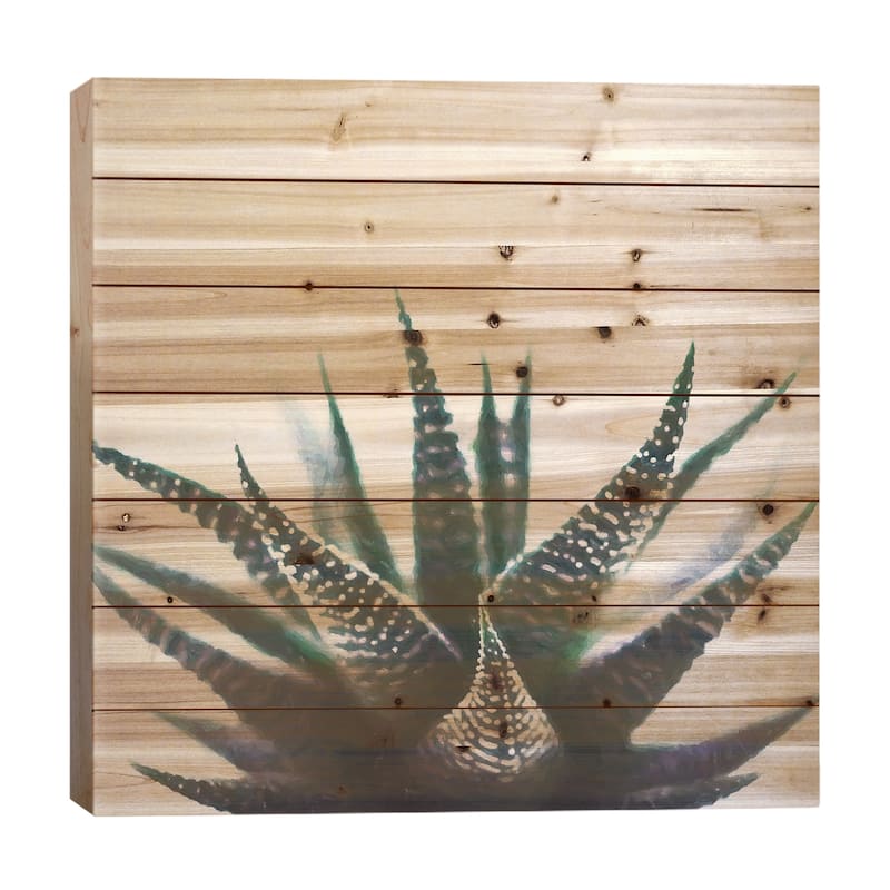 Green Topaz Plant Print On Wood by 83 Oranges - Multi-Color - 26x26x1.5