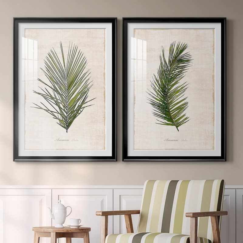 Palm Botanical I Premium Framed Print - Ready to Hang
