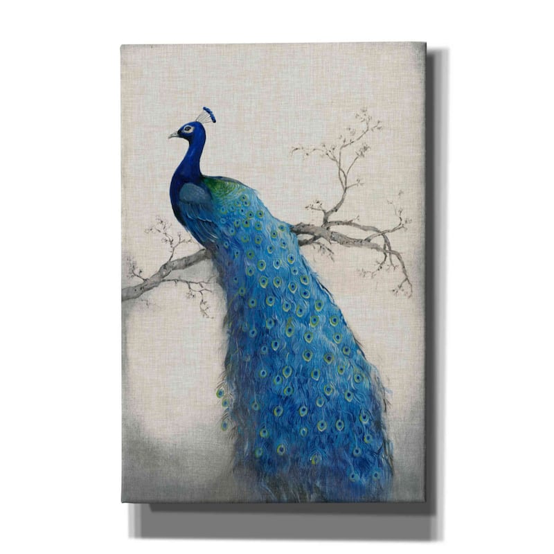 Epic Graffiti 'Peacock Blue II' by Tim O'Toole, Canvas Wall Art - 12x18