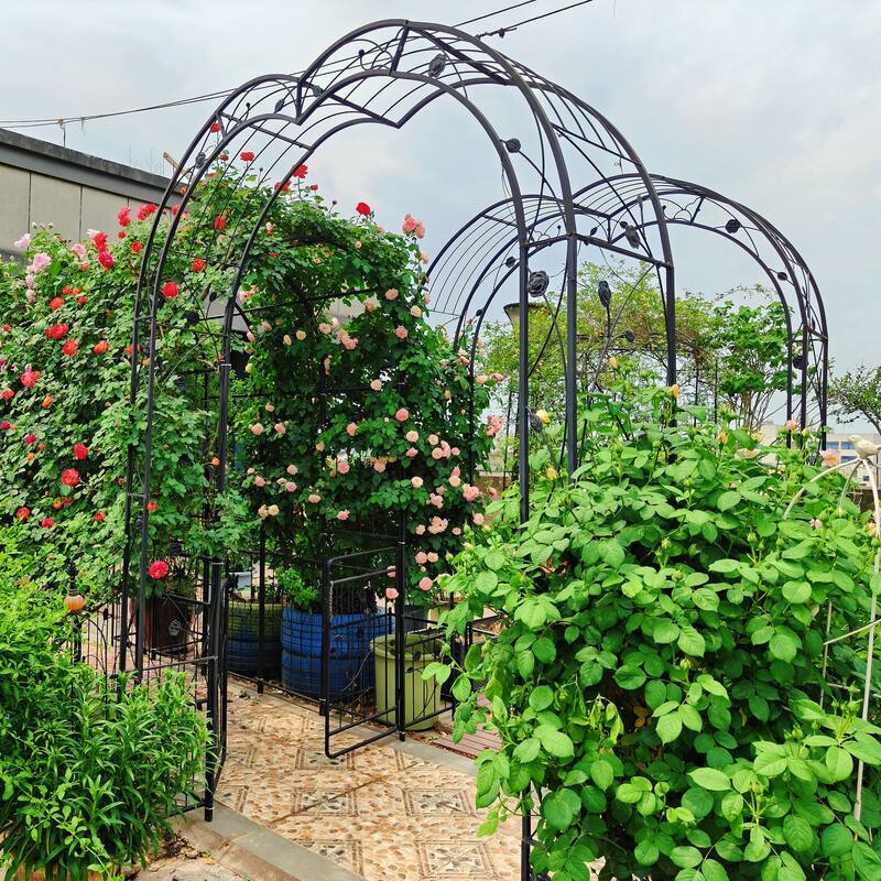 Metal arch trellis suitable for weddings and garden plant climbing